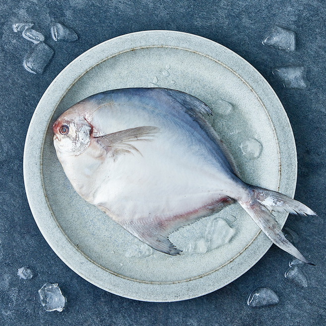 목포수협 병어 (냉장), 1개, 300g(특대)