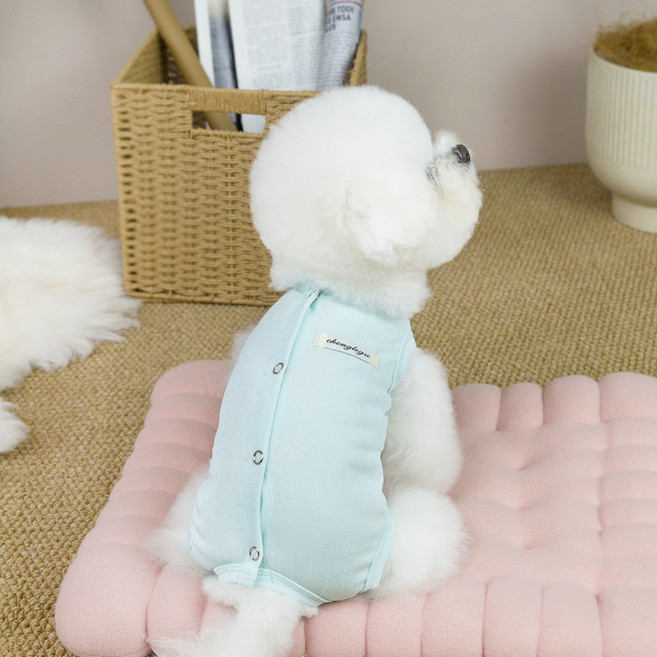 파스텔펫 반려동물 패턴 파스텔 올인원, 블루, 1개