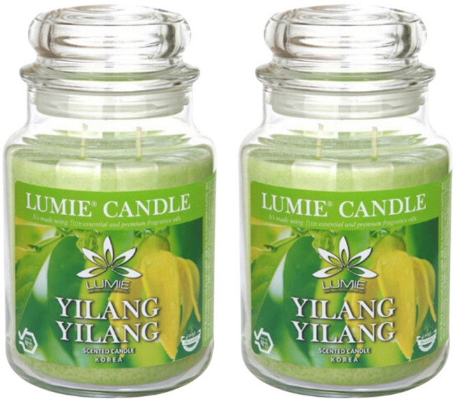 르미에 캔들, 570g, 2개, 일랑일랑