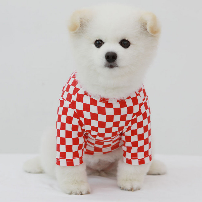 럭키페터 강아지 미니체크 티셔츠, 화이트/레드, 1개