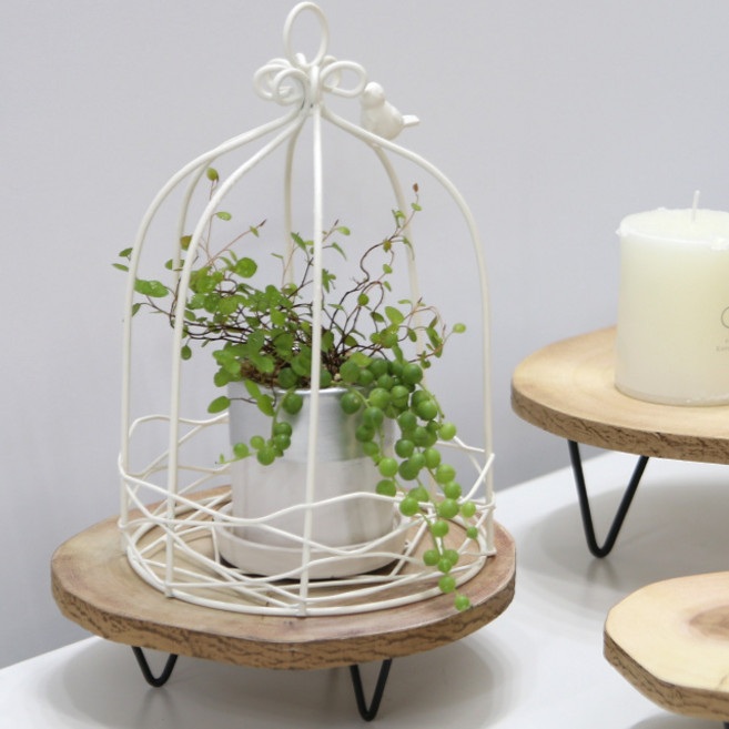 내일의공간 클래식 새장 소품, 1개, 화이트