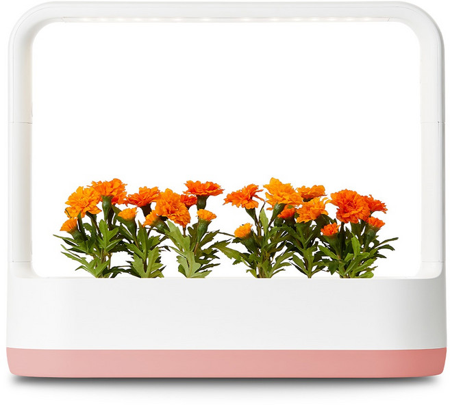 LG전자 틔운 미니 식물생활가전, L023P1