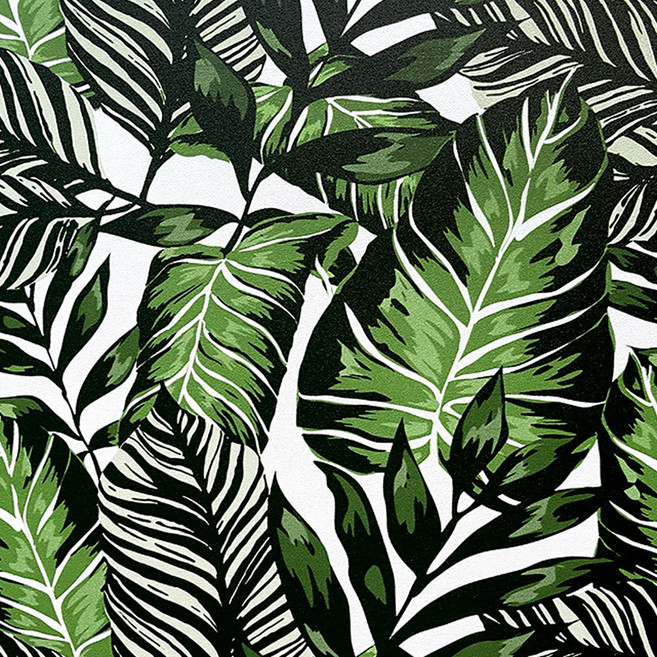 시트나라 데코 인테리어 포인트시트지 하우스플랜트 14-126, 그린 + 화이트 + 블랙