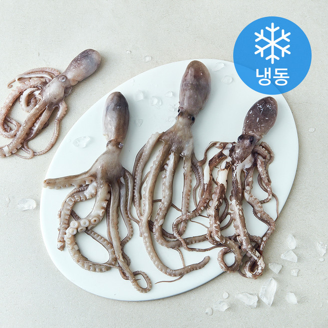 비비수산 싱싱할때 얼린 신선한 낙지 4미 (냉동), 1개, 425g