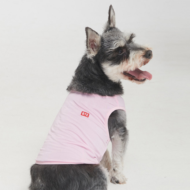 BYC 강아지 보디드라이 쿨런닝 플러스 ODB0002, PK 핑크, 1개