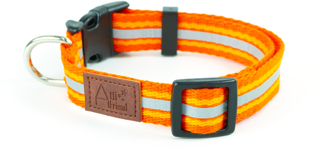 아띠지기 강아지 반사형 3M 웨빙 목줄, 망고, 1개