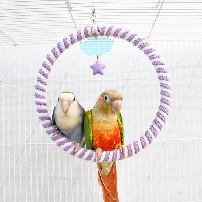 앵무새 원형 파스텔 그네 버드링 횃대, 퍼플, 1개
