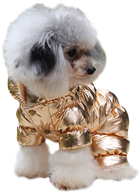 위즈아이 강아지 패딩 점퍼 WI013DG, 골드, 1개