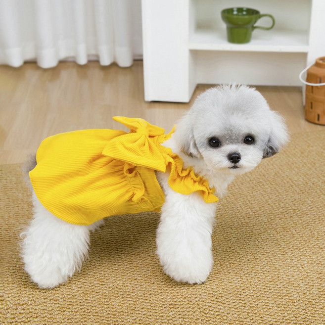 파스텔펫 반려동물 리본 프릴 골덴 원피스, 옐로우, 1개