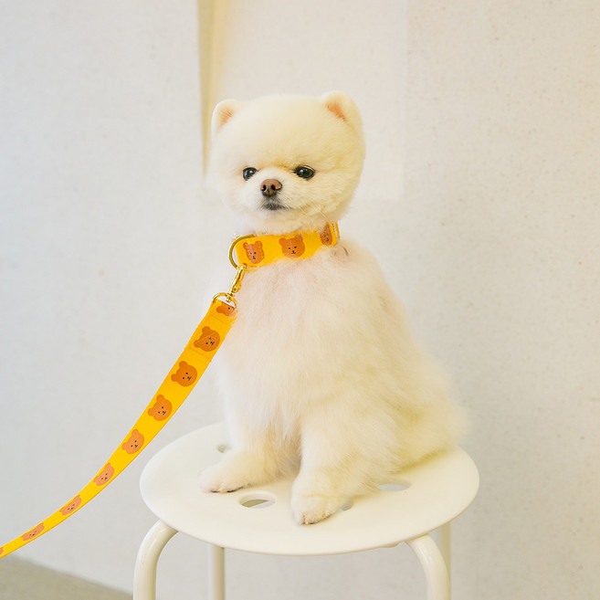 어거스몬 강아지 심플베어 리드줄, 옐로우, 1개