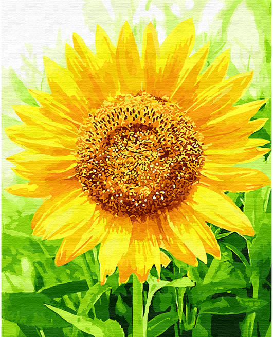 플레이어바웃 유화 피포페인팅 DIY 명화 그리기 40 x 50 cm 축복의 해바라기, 혼합색상, 1개