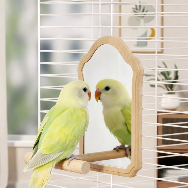 랜보어 앵무새 거울 스탠드 횃대 M, 우드, 1개