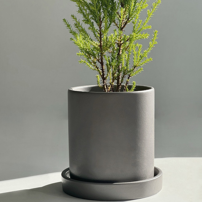 앙비까사 심플 무광 화분 + 받침대 세트, 그레이, 1개