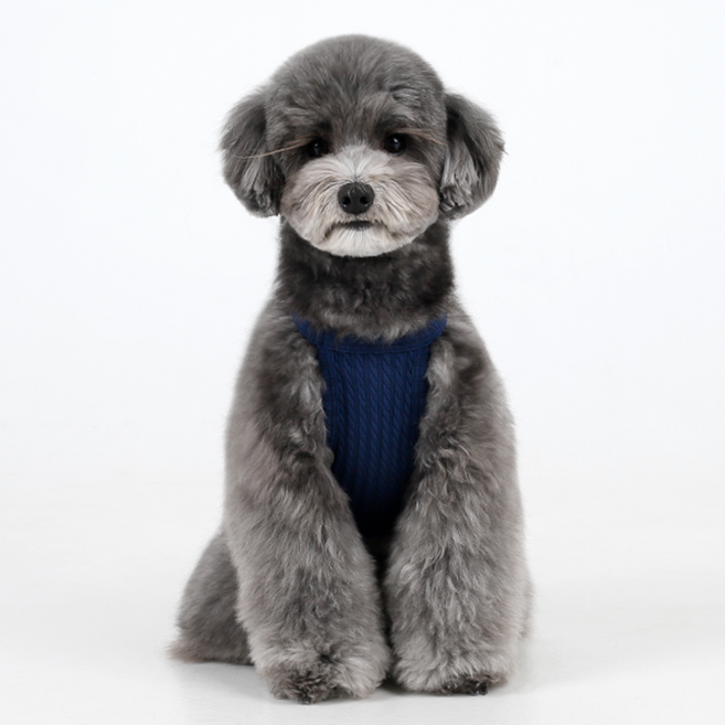 에이미러브즈펫 강아지 챠밍홀터넥, 네이비, 1개