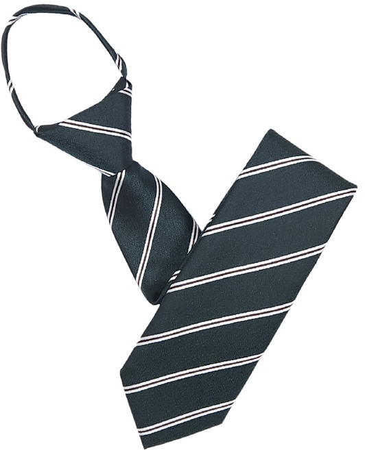 더셔츠스튜디오 남성용 레지멘탈 자동지퍼넥타이 TN332