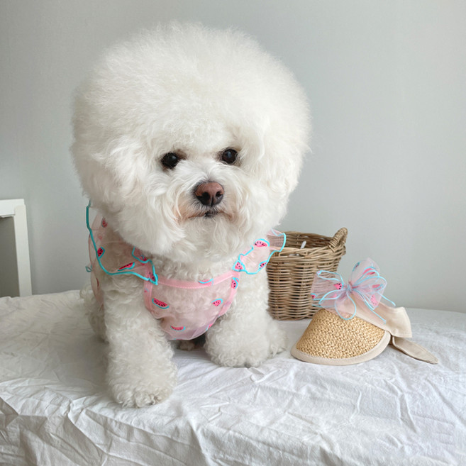 바이담수미 강아지 바캉스과일 시스루 나시, 핑크, 1개