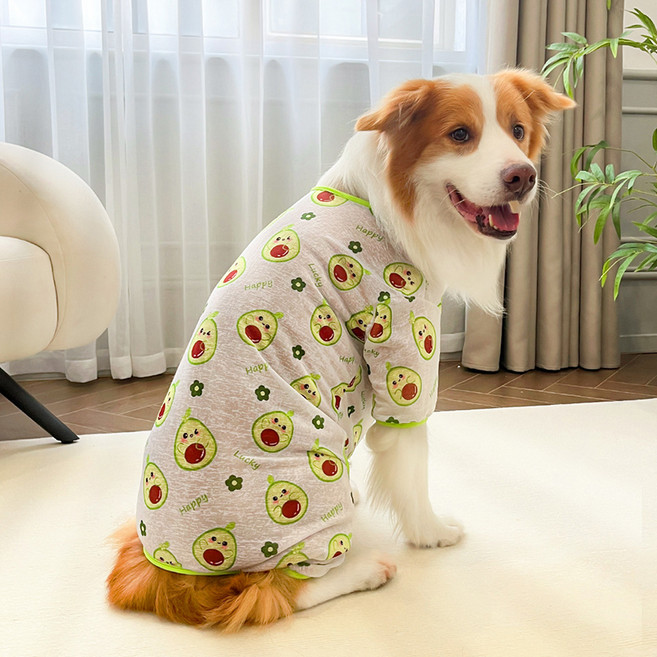 파스텔펫 강아지 후르츠 쿨 올인원, 아보카도, 1개