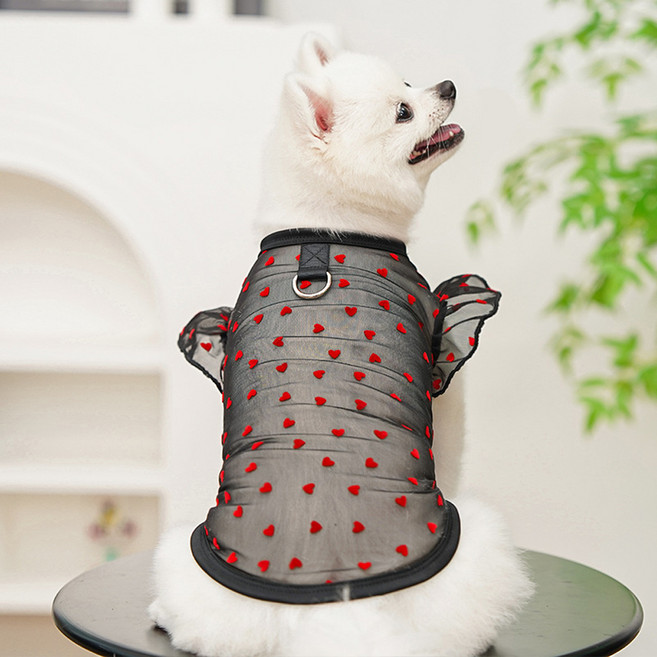아티펫 반려동물 하트패턴 시스루 견인 셔츠, 블랙, 1개