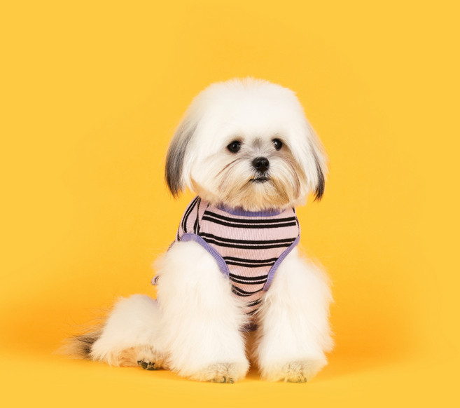 플로트 강아지 베이직 어반 민소매 티셔츠, 핑크블랙, 1개