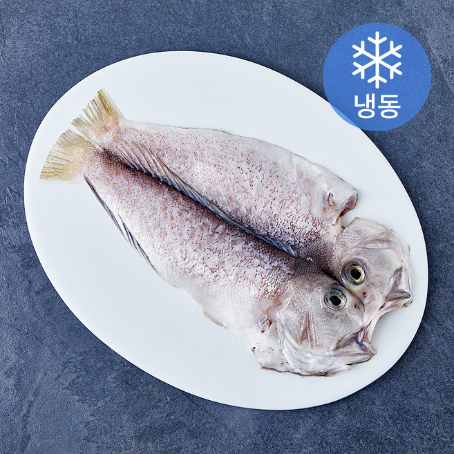 제주어가 손질 백옥돔 옥두어 (냉동), 280g(대), 1개