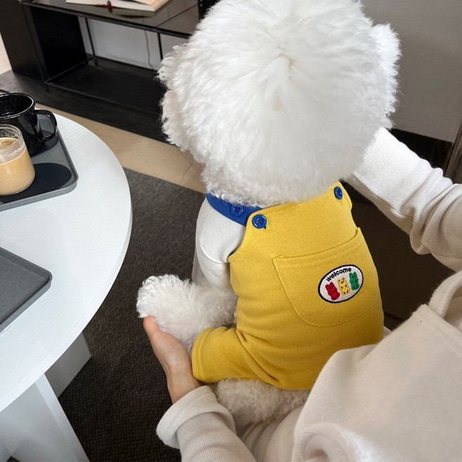 딩동펫 반려동물 미니곰 배색 멜빵바지, 옐로우, 1개