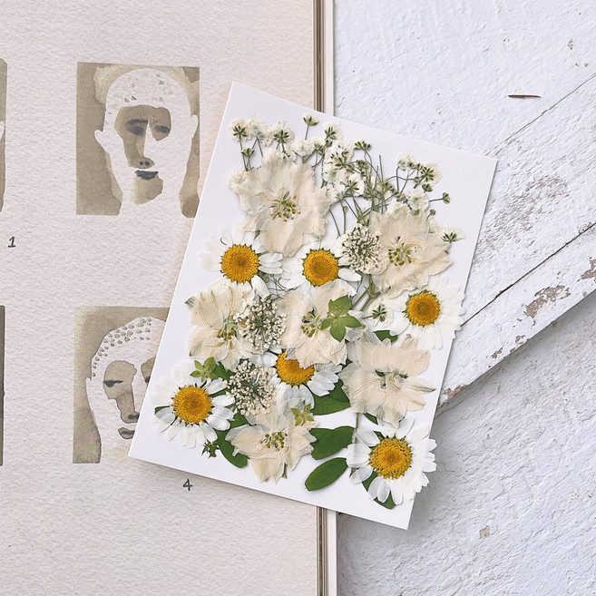 러블리팜 드라이플라워 압화꽃 28피스 DIY 세트, 1세트, 화이트가든