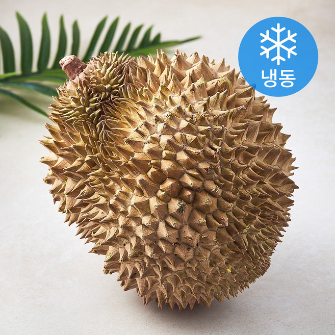 웰프레쉬 태국산 통두리안 (냉동), 1개, 2.2kg