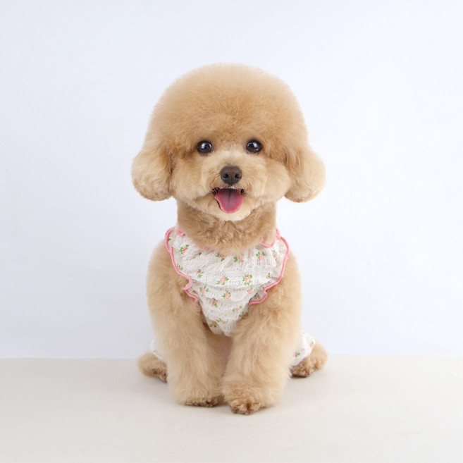 그루밍독 반려동물 피오니 올인원 리플원단 실내복, 핑크, 1개