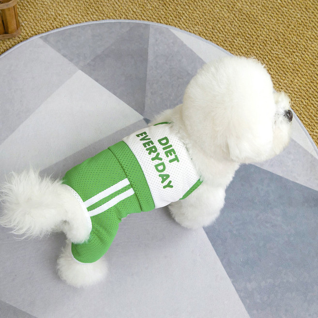 파스텔펫 반려동물 메쉬 다이어트 올인원, 그린, 1개