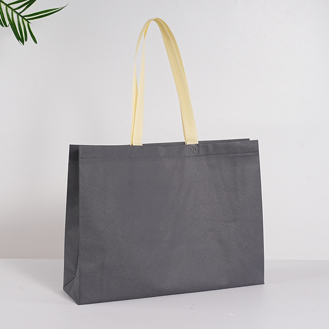 그리뉴얼 파스텔톤 심플 부직포 쇼핑백, 그레이, 10개