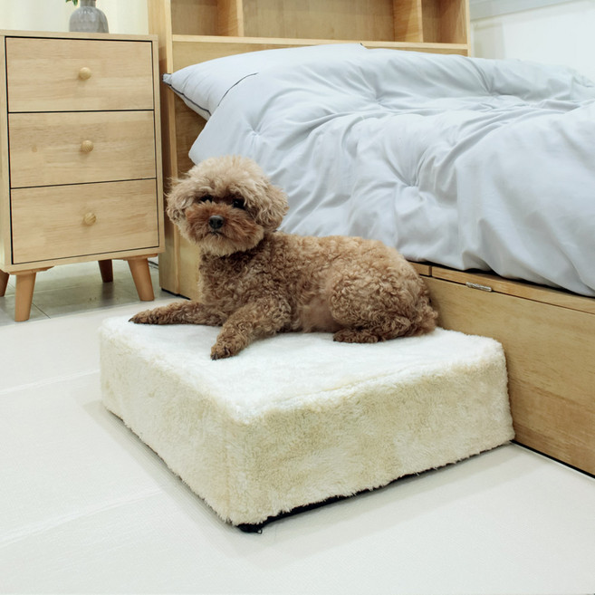 딩동펫 반려동물 보들 부드러운 스펀지 계단, 아이보리, 1개