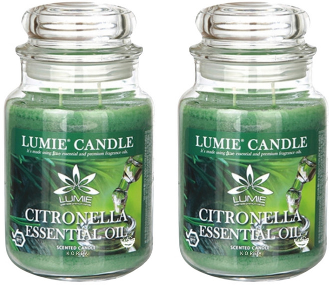 르미에 라지자 캔들, 570g, 2개, 시트로넬라