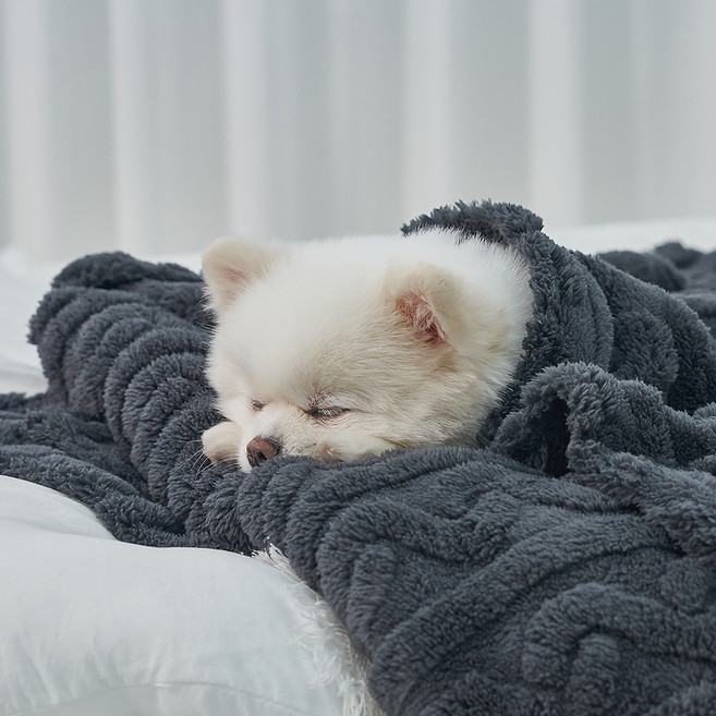 도그아이 반려동물 펫 꽈배기 담요, 다크그레이, 1개