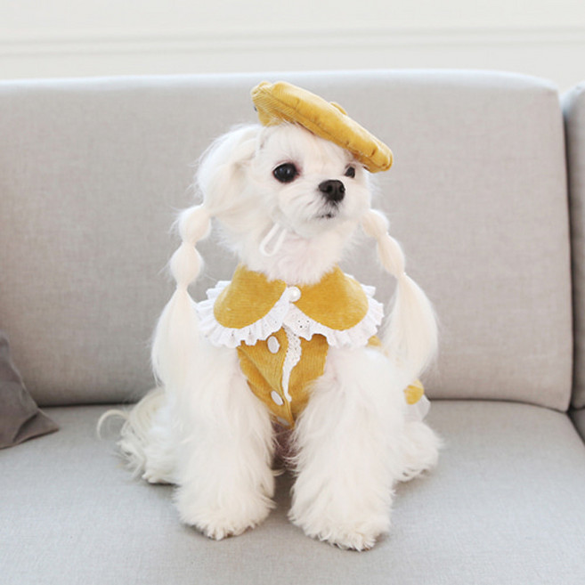 레드퍼피 강아지 레블리 골덴 원피스, 머스타드, 1개