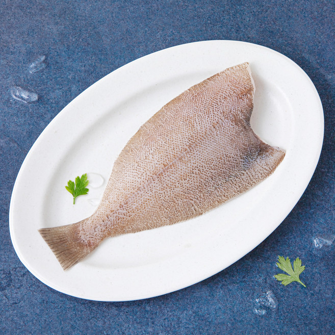 산지직송 부산 13번 중매인 생물 손질 참가자미 (냉장), 1개, 280g