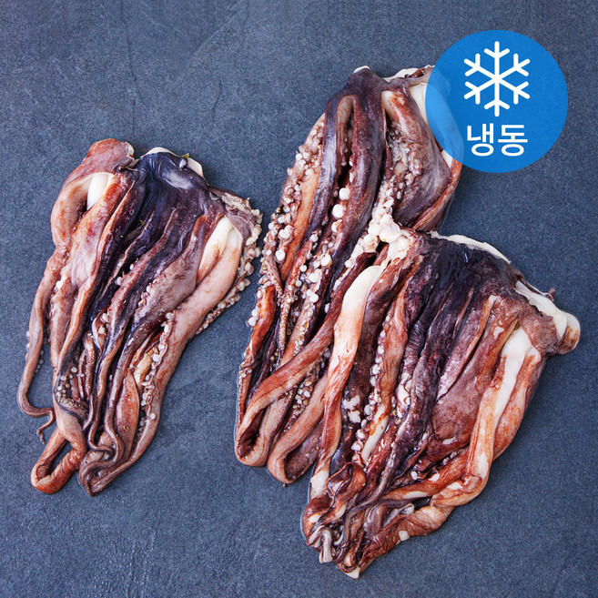 고등어청년 대왕 오징어 다리 (냉동), 1개, 1kg