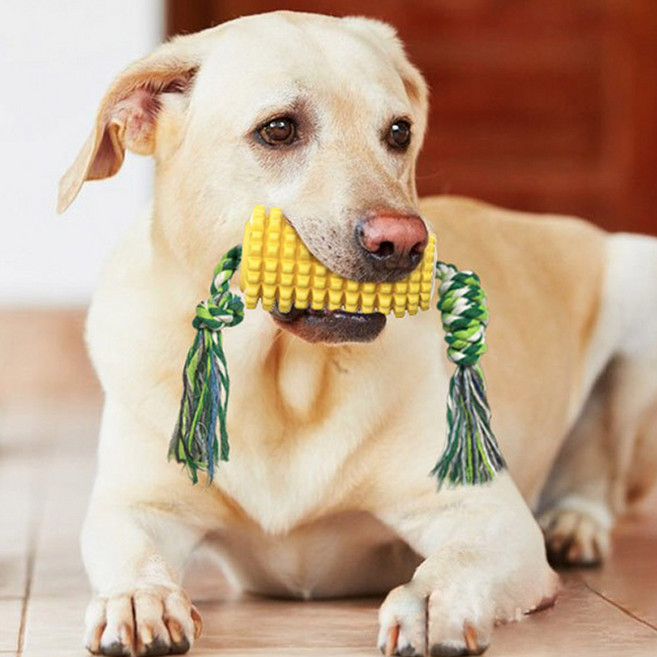 김멍냥 강아지 옥수수 터그 토이 놀이 견고한 장난감, 1개