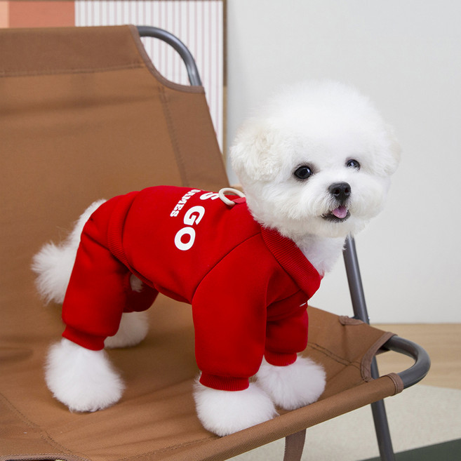 파스텔펫 반려동물 렛츠고 트레이닝 올인원, 레드, 1개