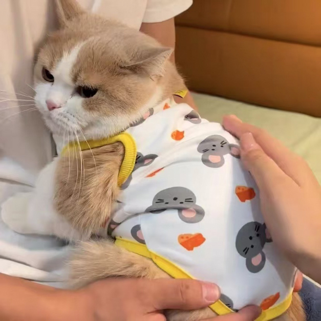웰롯 고양이 예쁜 귀여운 티셔츠, 옐로우, 1개