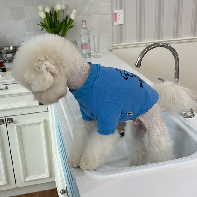 바크독 퍼피 강아지 코지 반팔 맨투맨, 퍼피블루, 1개