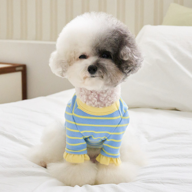 BENNYS 狗狗害羞兔T恤, 天藍色, 1個