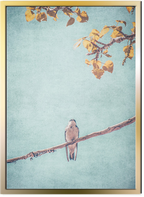 새와나무 포스터 + 알루미늄 액자 세트, 골드