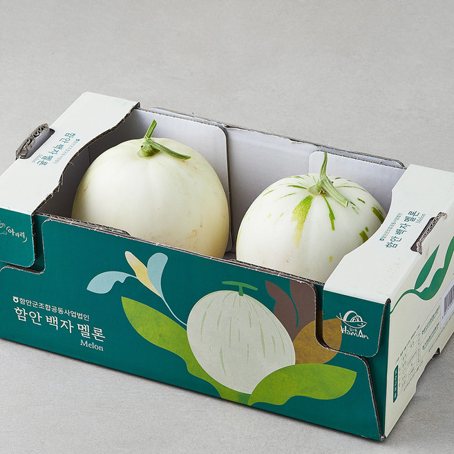 고당도 함안 백자멜론, 2kg(2~3입), 1개