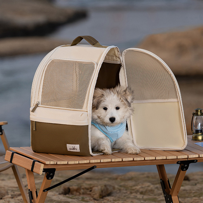 파스텔펫 반려동물 에어메쉬 백팩형 이동가방, 베이지, 1개