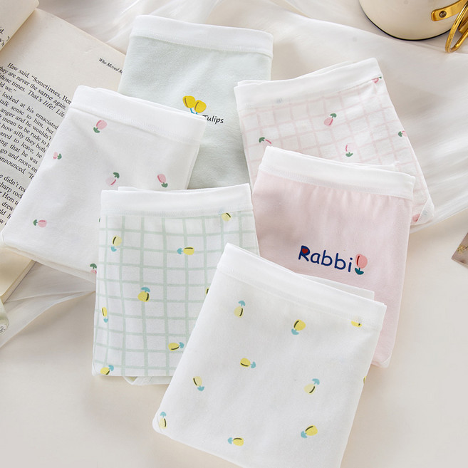 플로린 여성용 고밀도 면스판 데일리 팬티 6종 세트 cwp-021