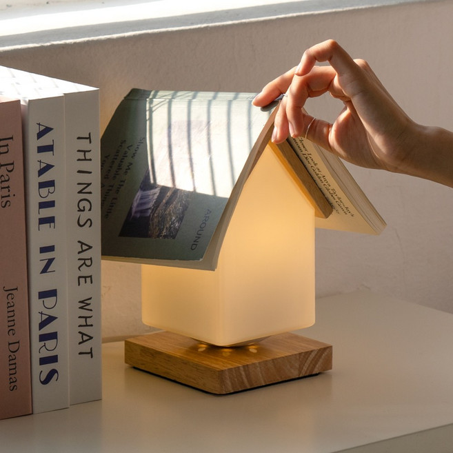 레나에너지 하우스 북레스트 LED 무드등 인테리어 스탠드 조명, 혼합색상