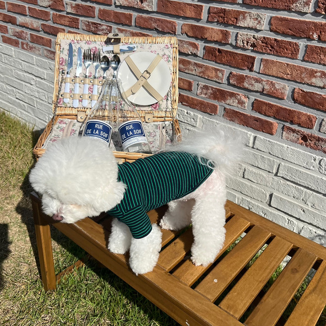 매그독 반려동물 트리플 티셔츠, 네이비, 1개