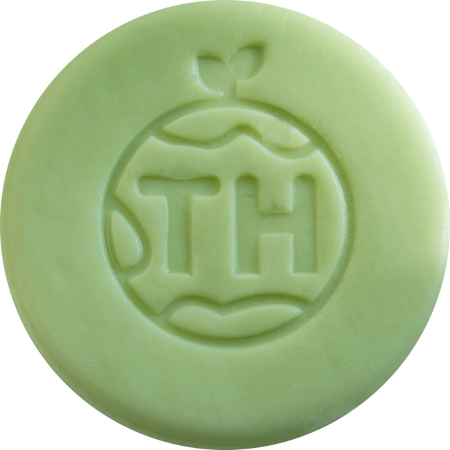 태현테라피 리뉴얼 티트리 비누, 100g, 1개