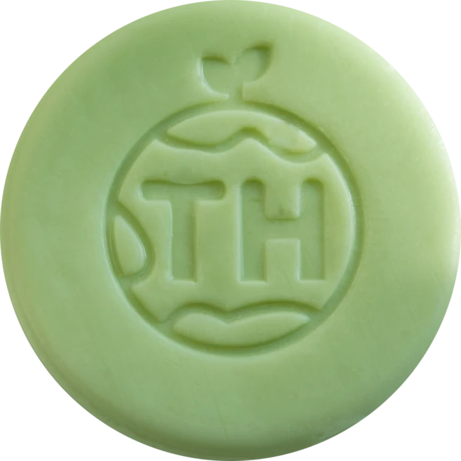 태현테라피 리뉴얼 티트리 비누, 100g, 1개 - 쿠팡