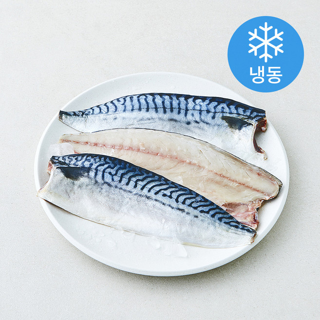 바다찬찬 노르웨이 통통 고등어살 (냉동), 400g, 1개